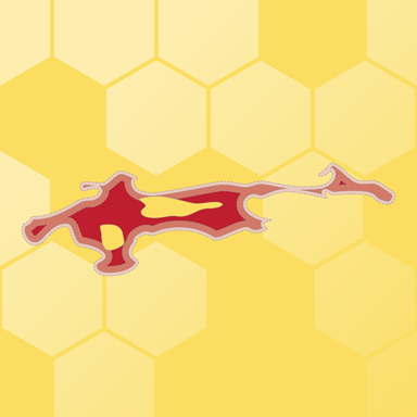 Morph